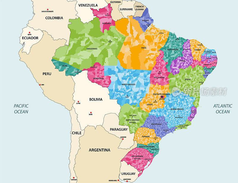巴西州和市向量高详细彩色地图与邻国和领土