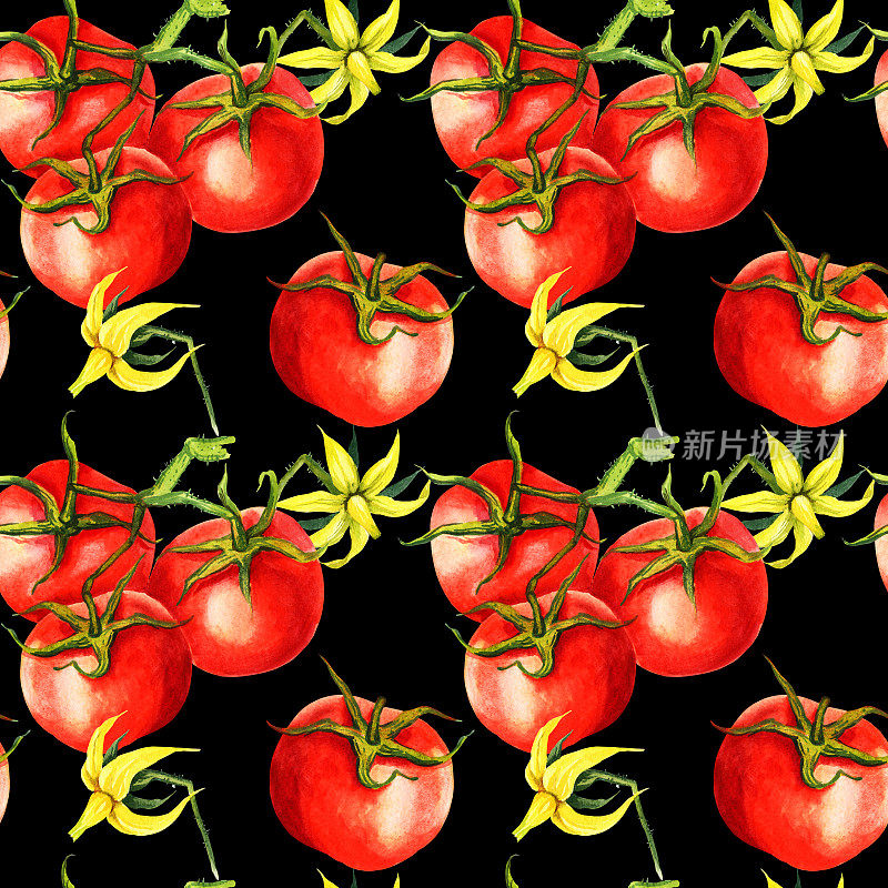 水彩番茄，无缝图案，花朵，早午餐，手绘插图，黑色背景上的红色蔬菜素描