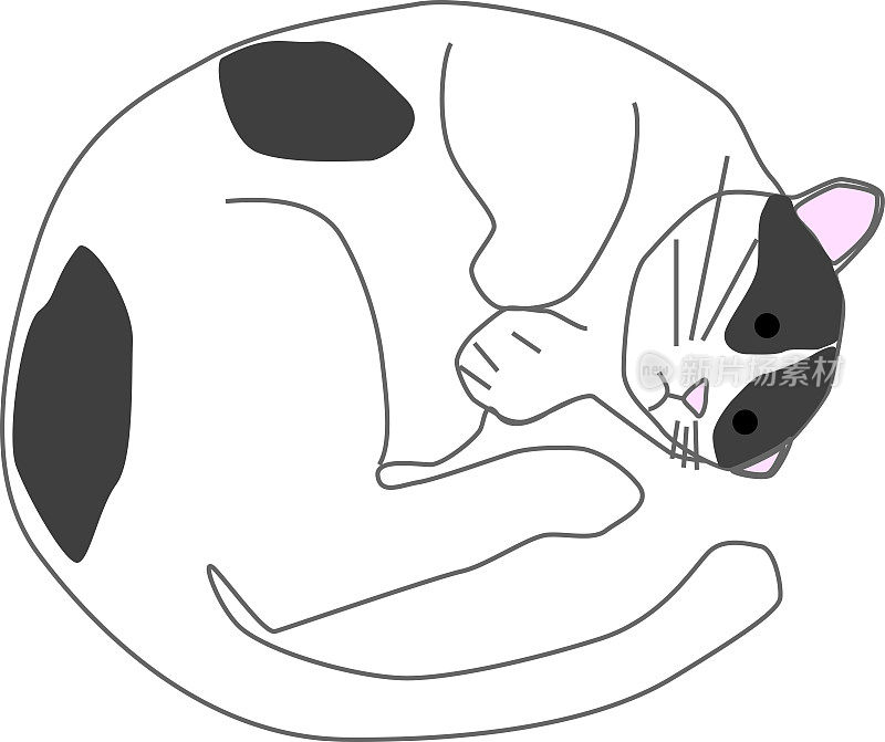 一个可爱的圆形黑白猫的插图材料