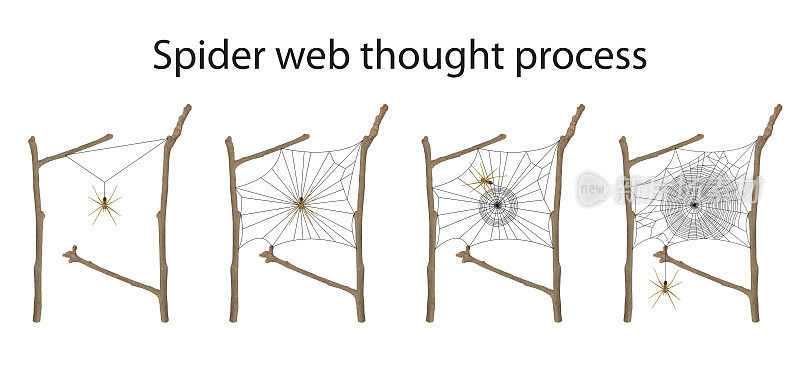 蜘蛛网思维过程插图