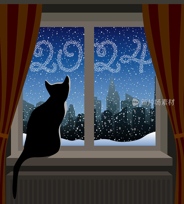 猫在看冬天的城市。2024年新年