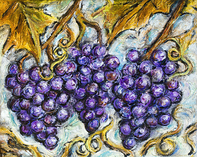 成熟的红葡萄插图画