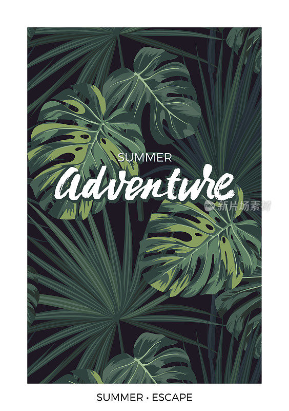 深色矢量热带设计与绿色丛林棕榈叶和字母