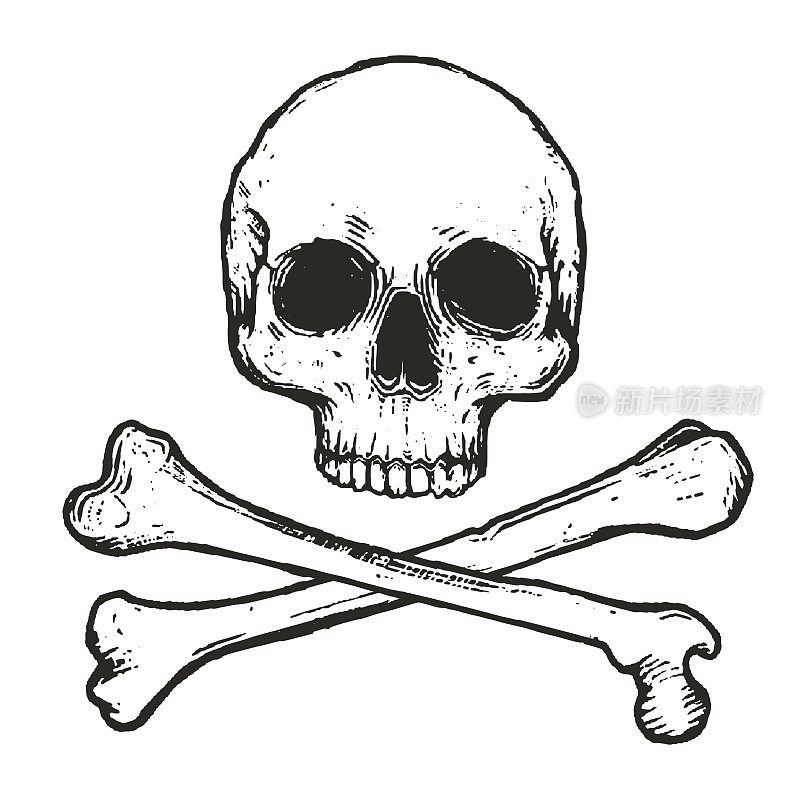手绘骷髅和交叉骨头矢量插图孤立在白色背景