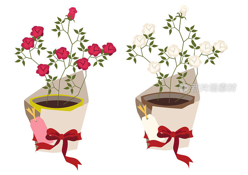 玫瑰花夹艺术。玫瑰花设计材料。红色玫瑰礼物的插图。玫瑰花花束。
