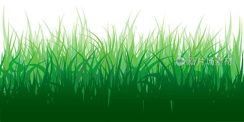 绿草在草地上，在田野里，矢量插图