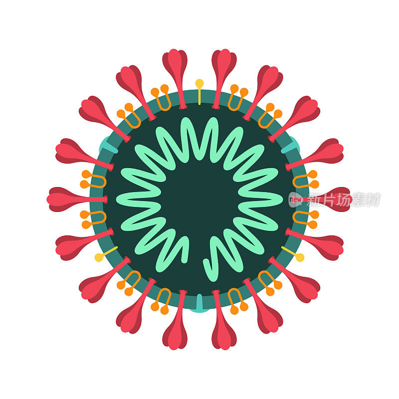 COVID-19冠状病毒横截面结构图