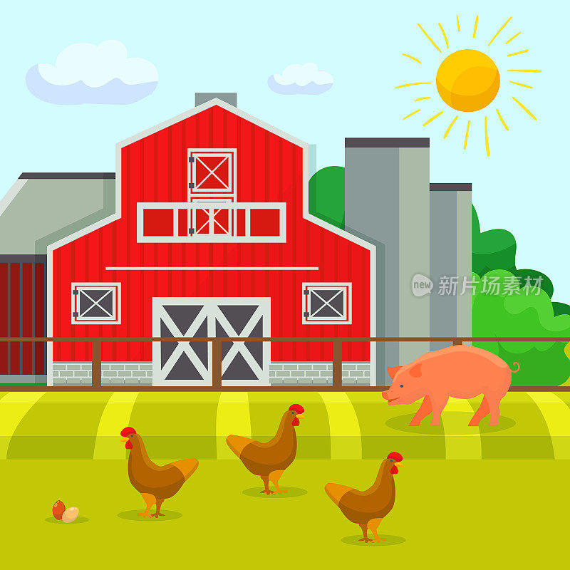鸡和猪走在院子附近的农庄建筑房子，谷仓，鸡笼矢量插图。畜禽养殖农业农村农场。