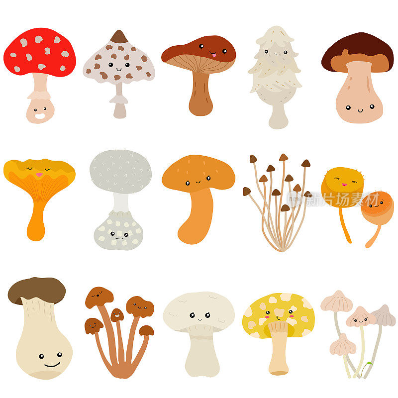 可爱的蘑菇向量蘑菇笑脸。彩色的涂鸦插图孤立在白色的背景