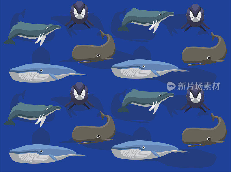 各种鲸鱼种类矢量无缝背景壁纸01
