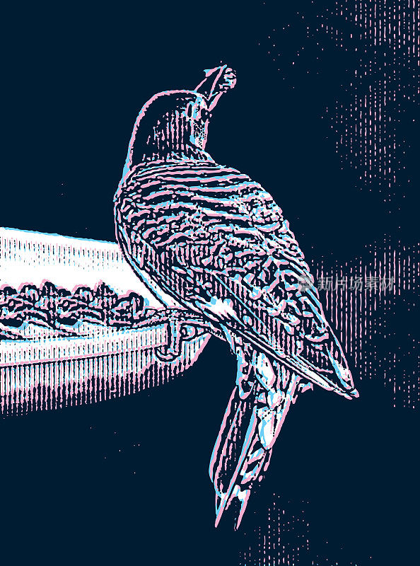 红腹啄木鸟与故障技术