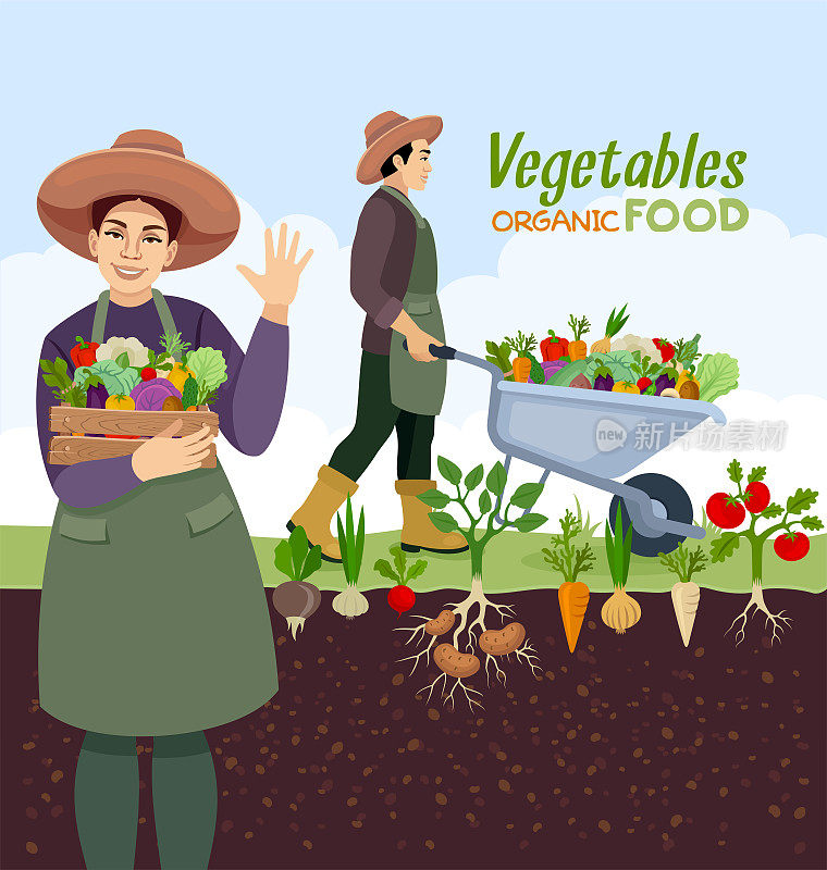 两个园丁。男人推着手推车，女人提着装着新鲜蔬菜的木箱。
