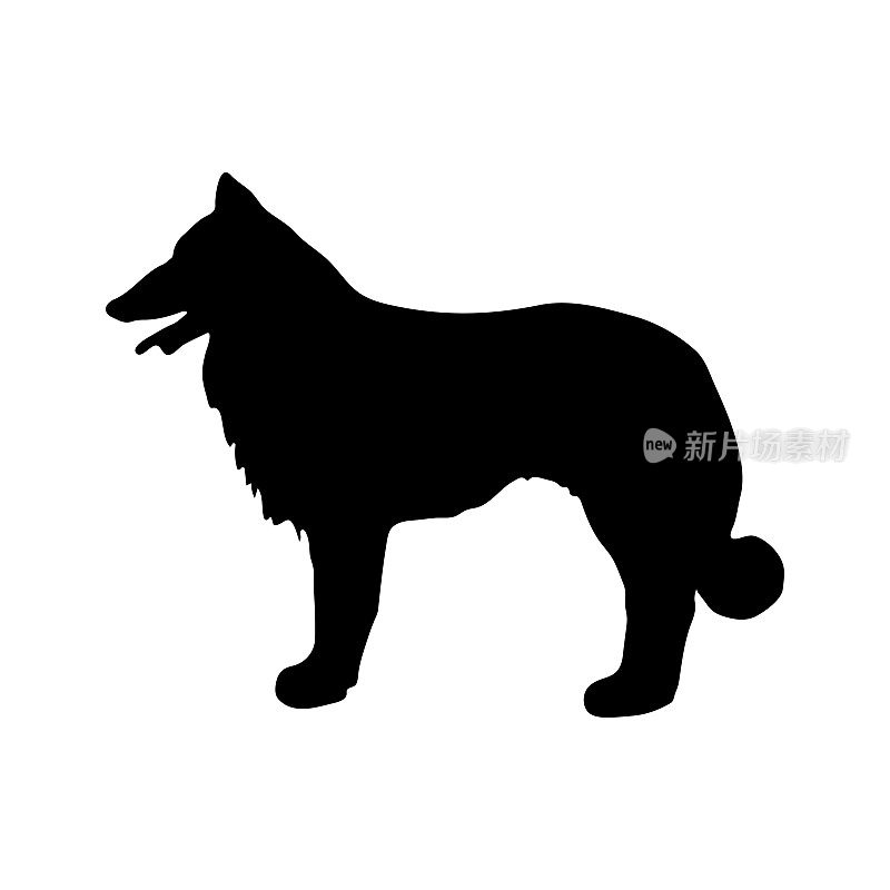 牧羊犬。黑色剪影的狗在一个白色的背景