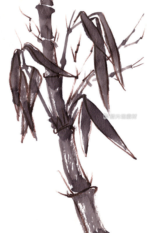 竹干竹叶单色黑白中式水墨画。
