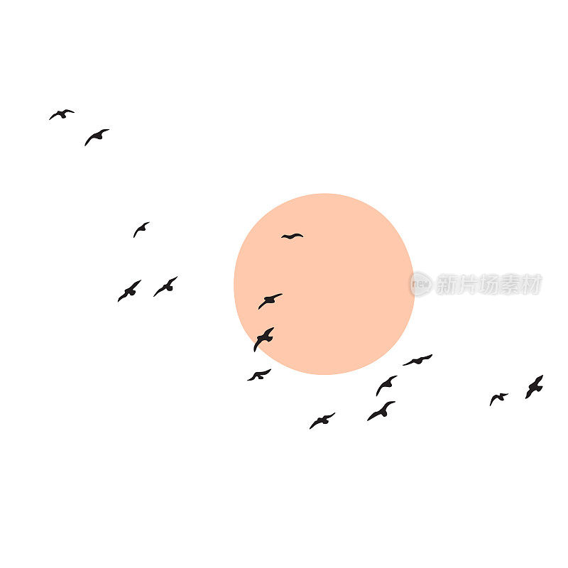 群鸟迎着太阳或月亮飞翔