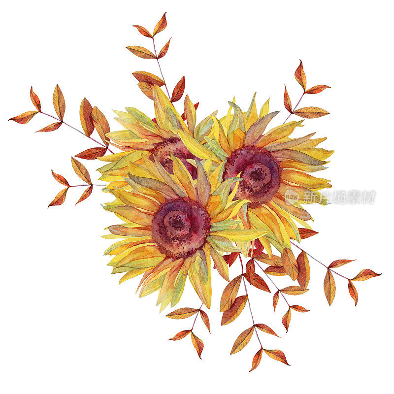 水彩花束与花向日葵和树枝与树叶孤立在白色的背景。创意手绘剪贴画贴纸或纺织品。明信片，婚礼庆典或包装墙纸