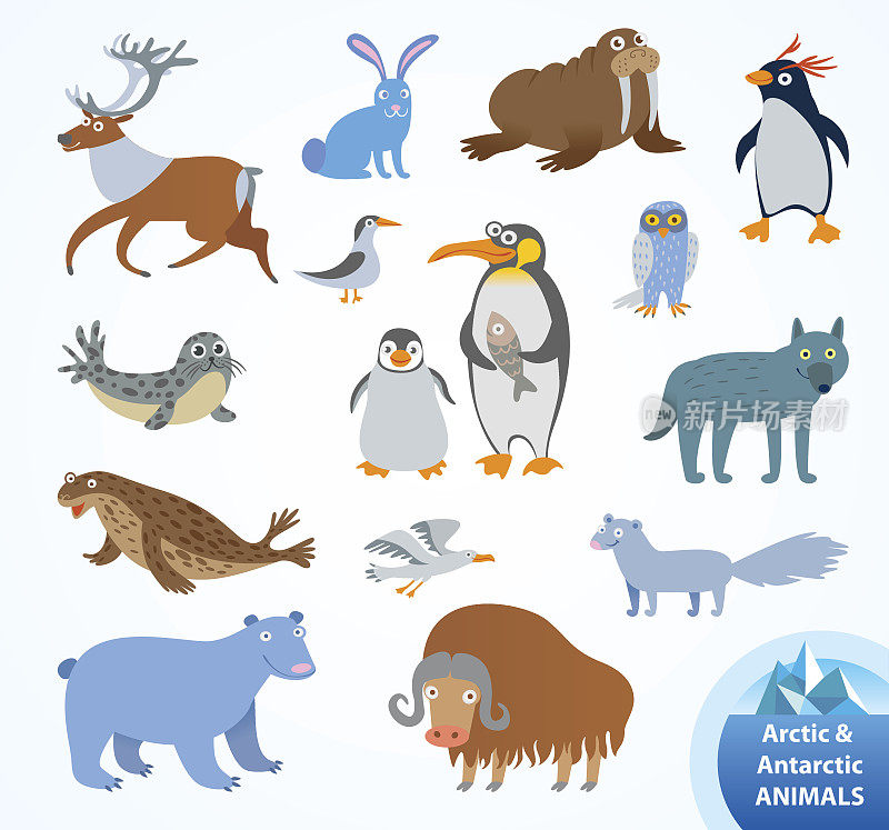设置有趣的北极和南极动物
