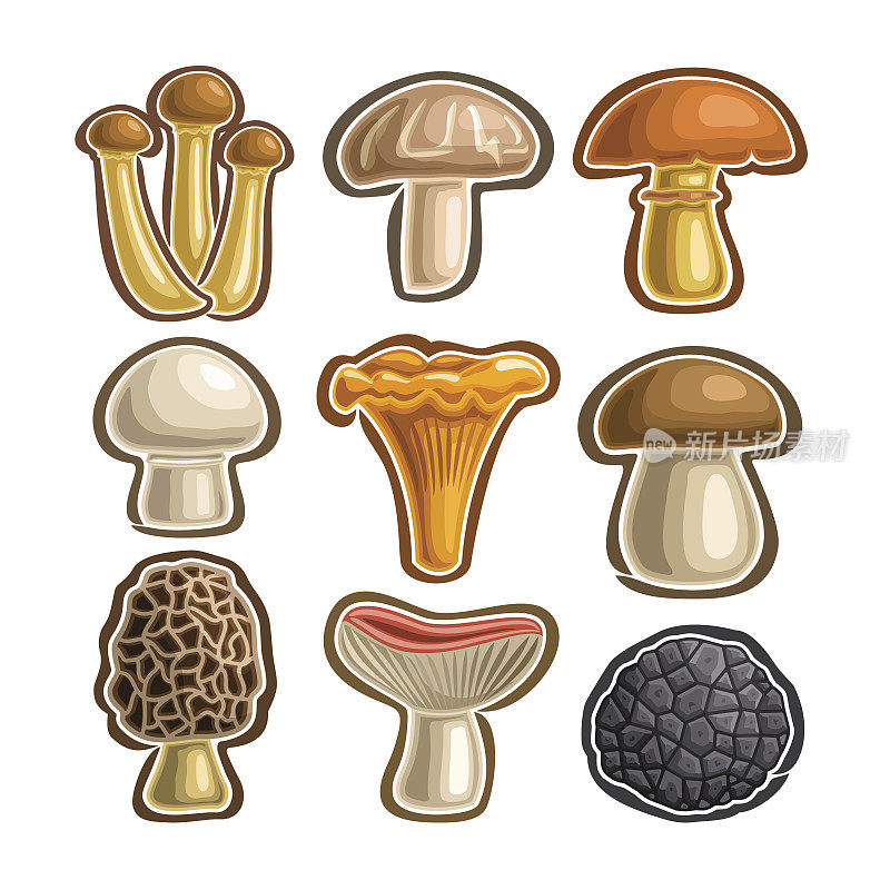 矢量设置图标可食用蘑菇