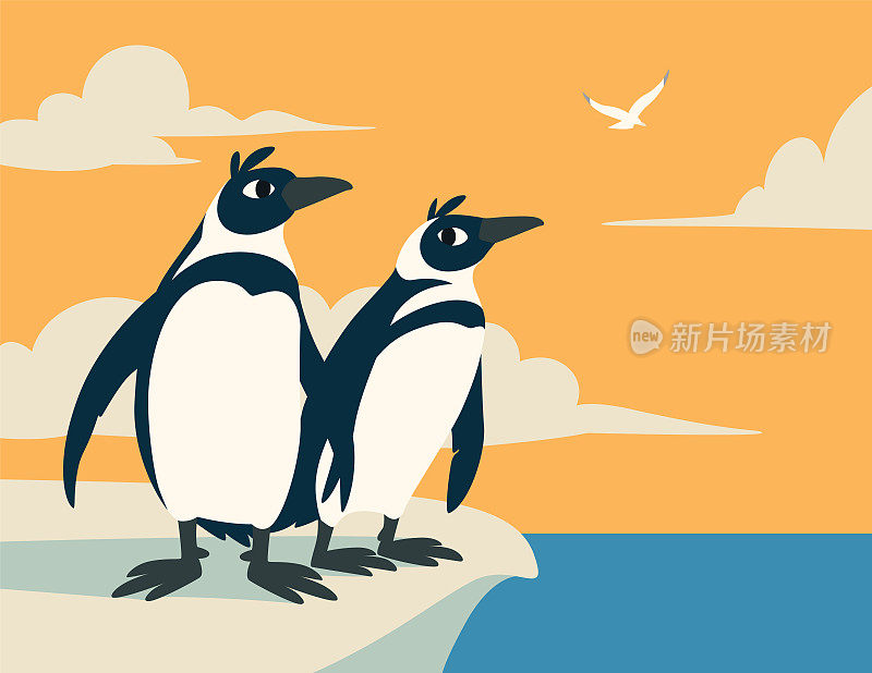可爱的企鹅。北极鸟类家族用云彩和海鸥在天空中遥望远方。彩色矢量插图的两只企鹅在平卡通风格的南极日出海景。