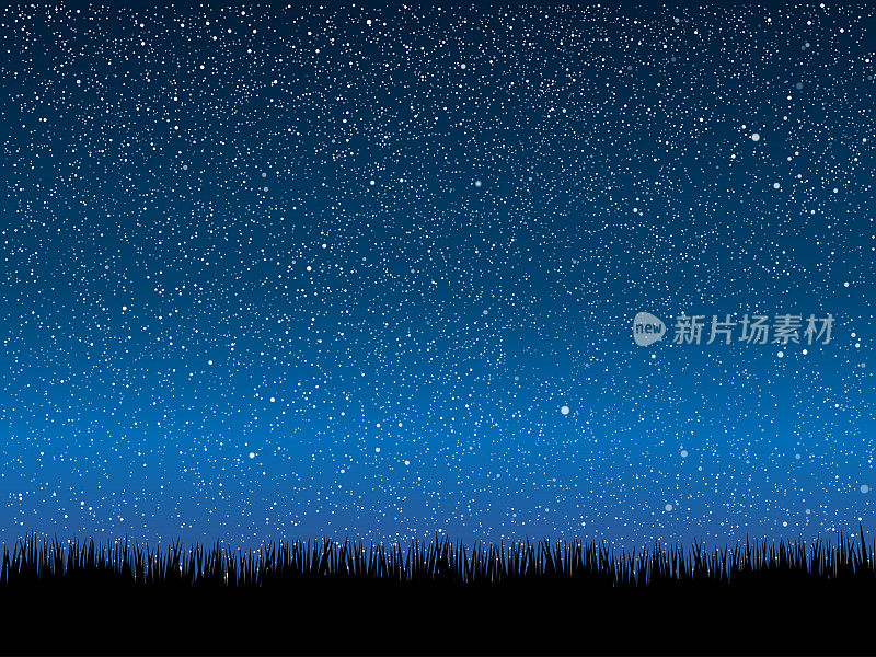 繁星点点的夜晚，草地上闪烁着明亮的星星。背景,旗帜。