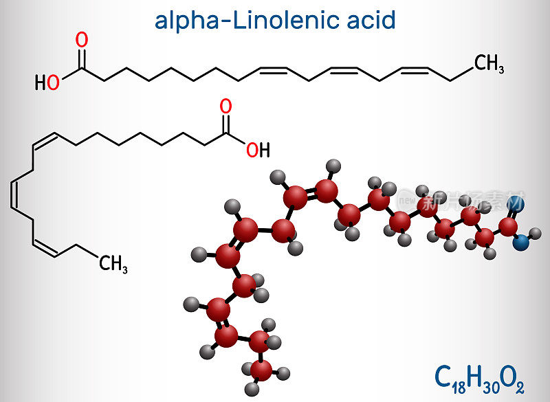 -亚麻酸，ALA分子。羧基多不饱和脂肪酸-3。许多常见植物油的成分。结构化学式，分子模型