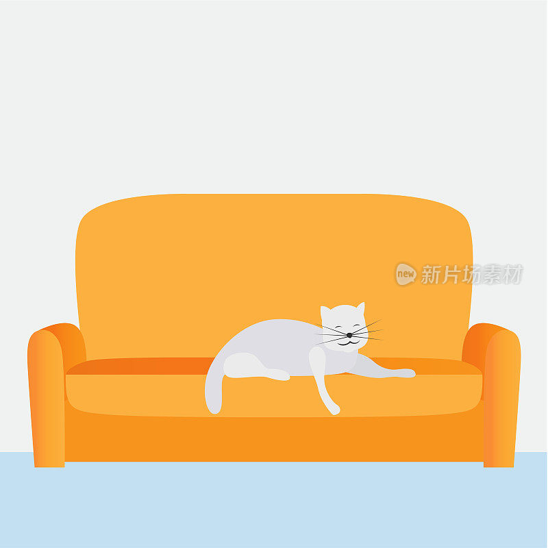 一只可爱的猫躺在家里的沙发上