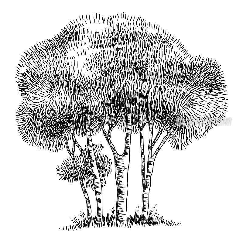 田野树木图标，手绘和轮廓风格