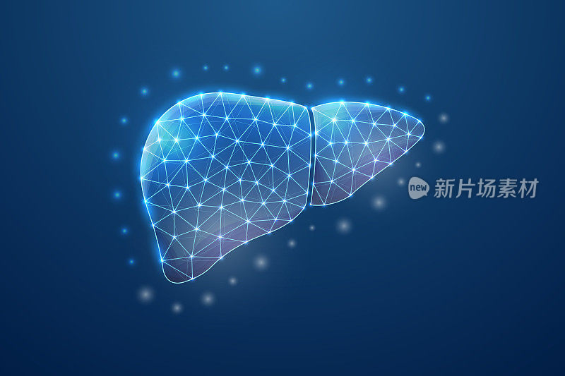 肝脏三维符号在蓝色低聚的风格。肝炎，人体移植设计概念说明。器官解剖多边形线框。