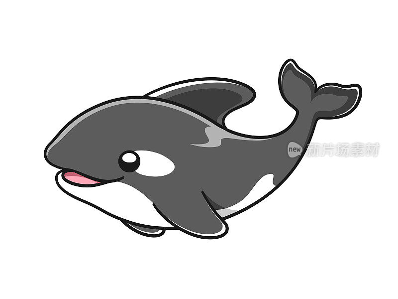 可爱的逆戟鲸矢量插图。虎鲸卡通剪贴画。