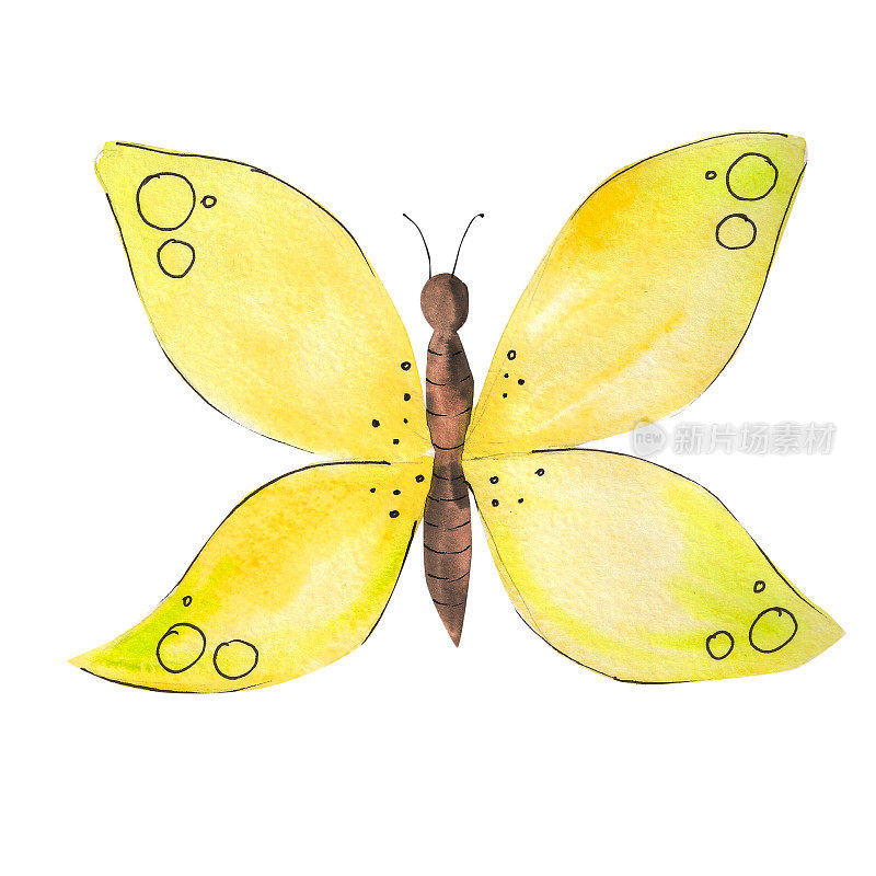 蝴蝶插图在水彩画风格。前面有黄色翅膀的蝴蝶。昆虫,夏天
