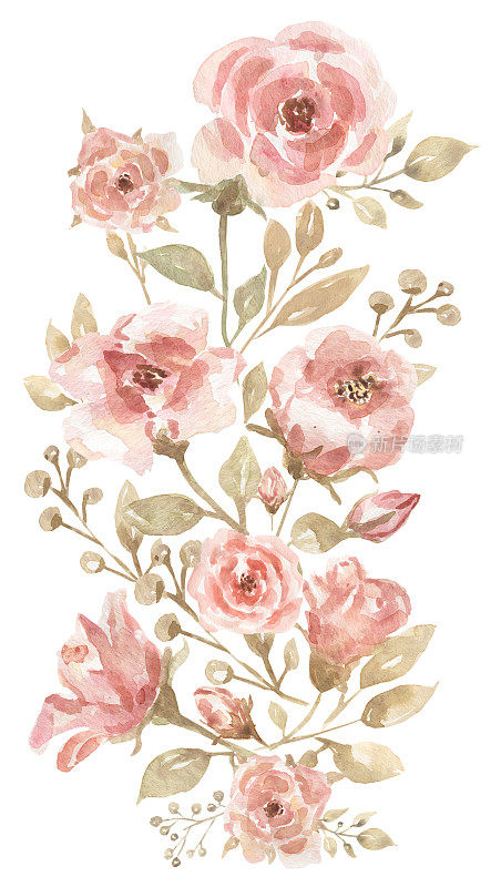 腮红粉色古董玫瑰剪纸，米色和淡色的花束，奶油花园花卉印花，牡丹和米色的叶子，婚礼手绘水彩安排。