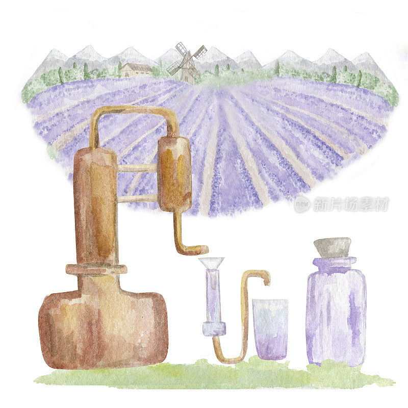 薰衣草田的景观。蒸馏器。水彩插图。