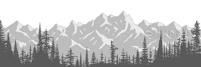 黑白相间的风景，背景是雪山的云杉林