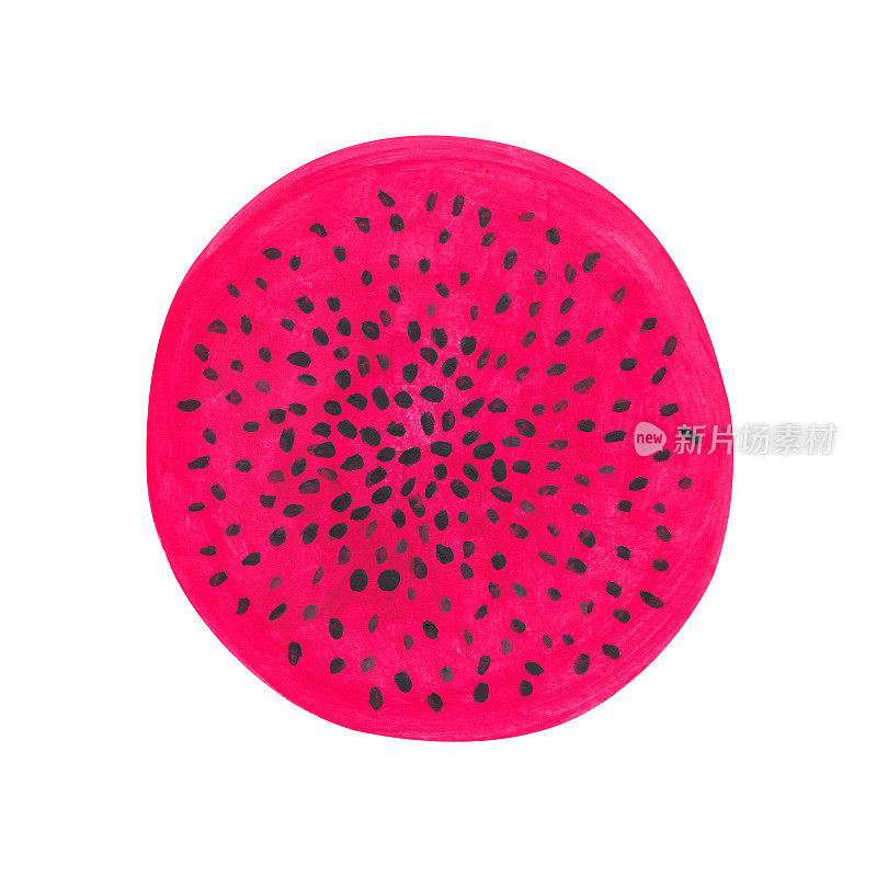 圆形粉红色切割龙果图案。手绘逼真的粉红色火龙果环孤立在白色