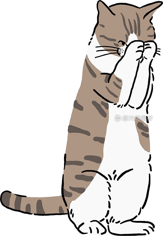 虎斑猫可爱的动物卡通彩色插图