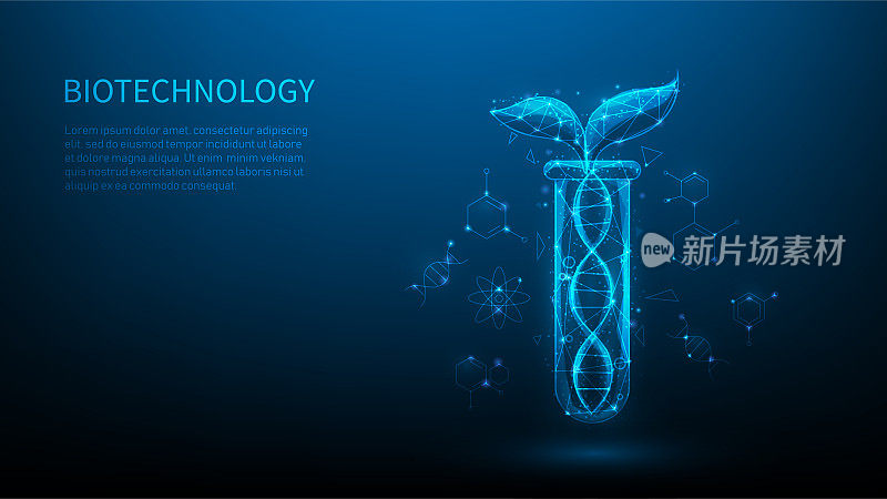 深蓝色背景上的生态创新生物技术。矢量插图奇妙的高科技设计。在试管中种植低聚线框。生物DNA技术。科学生长幼苗。