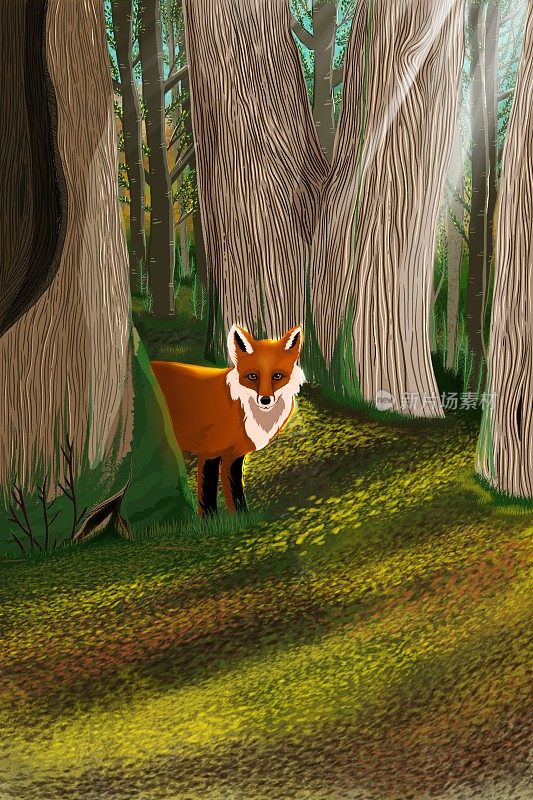 森林里的红狐。jpg