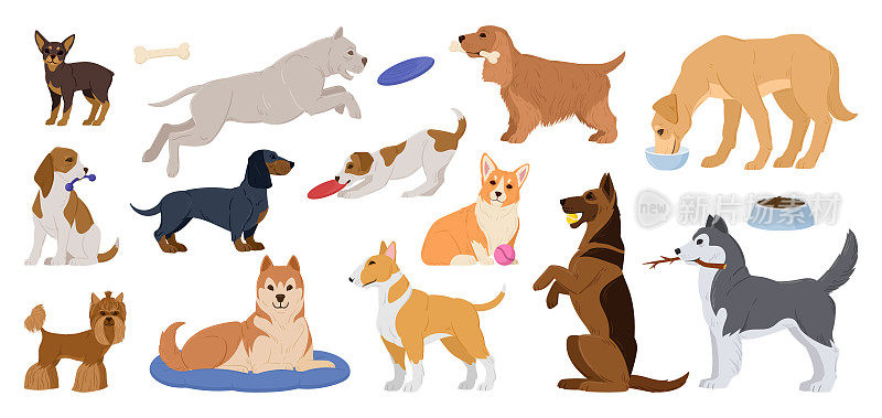 卡通纯种狗。快乐活跃的小狗，睡觉，玩和吃的家庭狗，柯基和哈士奇可爱的宠物平面矢量插图集。狗和动物特征