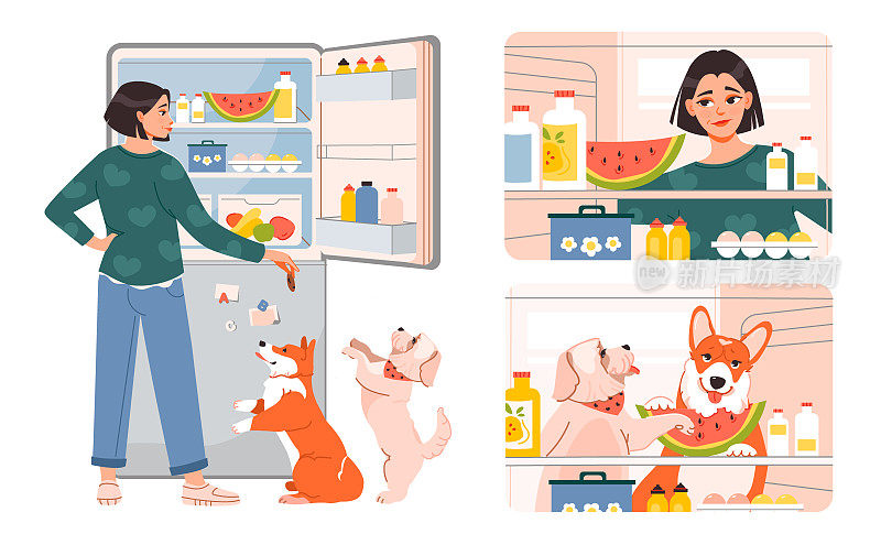 宠物的主人。女人打开冰箱，放上食物，喂宠物。饥饿的女人检查冰箱里的食物。狗在冰箱里挑选食物。平面矢量图。