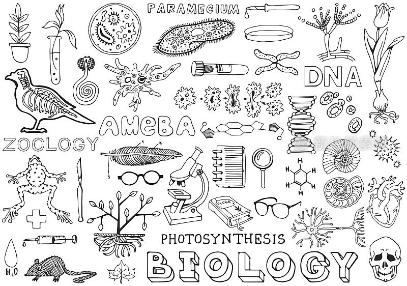 生物科学涂鸦手画孤立的元素。科学和教育。