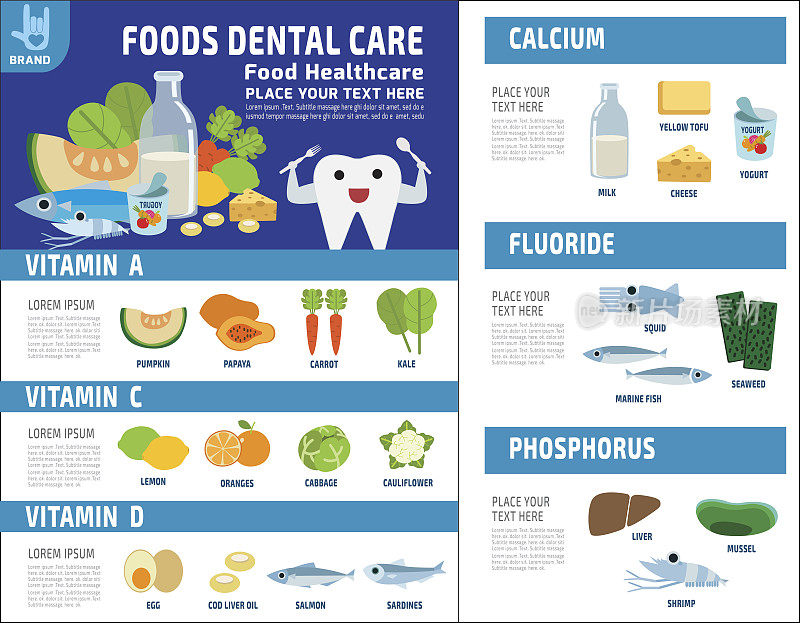牙科保健食品。源的好处。医疗保健的概念。食物健康信息图表元素。营养和矿物质矢量平面图标设计插图模板小册子布局传单传单