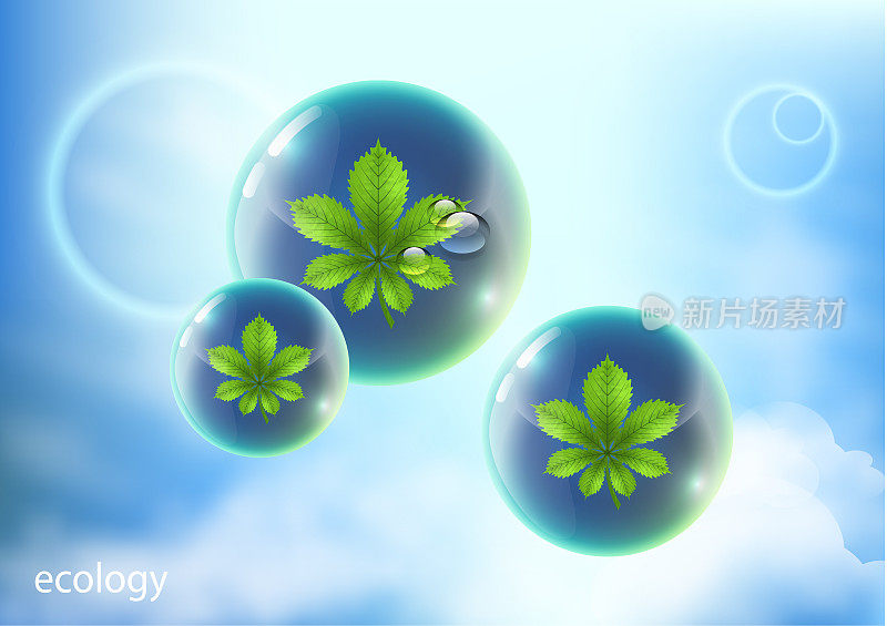 环境设计的矢量元素。在蓝色的天空下，水滴的形状是一个闪亮的球，带有明亮的绿色板栗叶