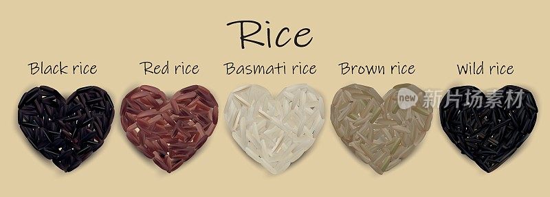 米，黑色，红色，印度香米，棕色，野生。矢量插图。现实的大米。