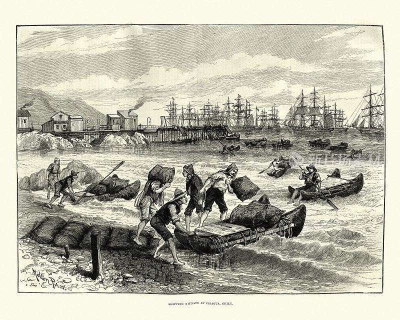 19世纪，智利Pisagua，工人们将硝酸盐装载到船上