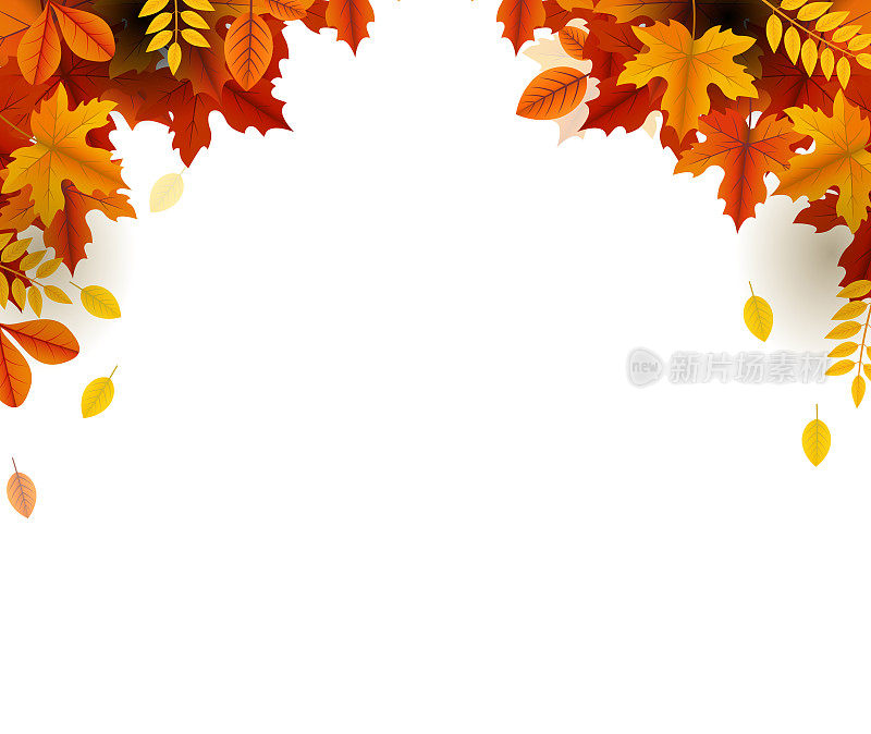 秋天美丽的落叶框架