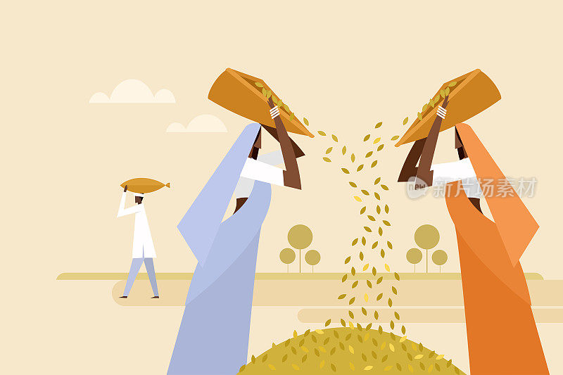 农业农场的劳动妇女在收割后筛选谷物