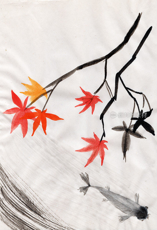 枫叶枝上点缀着红色和金黄色的秋叶，鲤鱼鱼漂浮在池塘里
