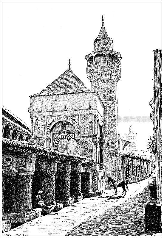 古董插图:突尼斯