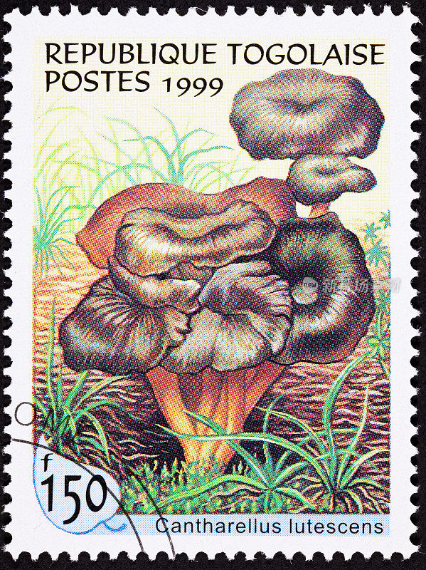 取消多哥邮票团黄脚蘑菇，斑蝥