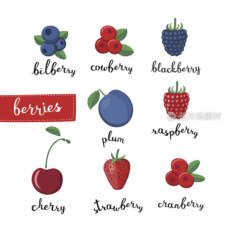 不同种类的浆果和字母名称